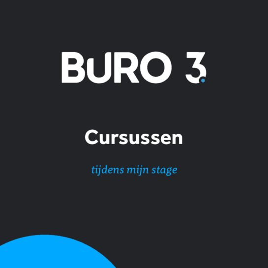 portfolio item over de cursussen die ik gevolgd heb tijdens mijn stage