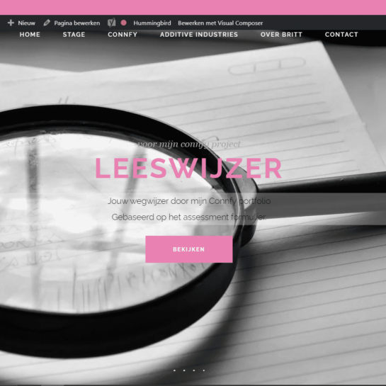 Screenshot portfolio