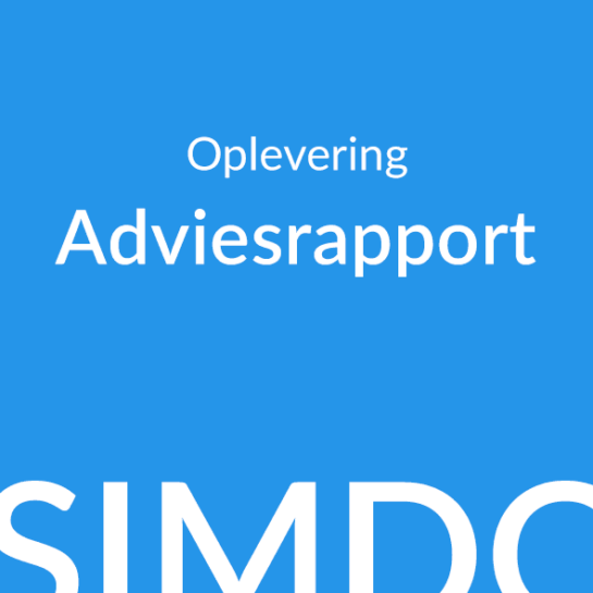 omslagfoto adviesrapport
